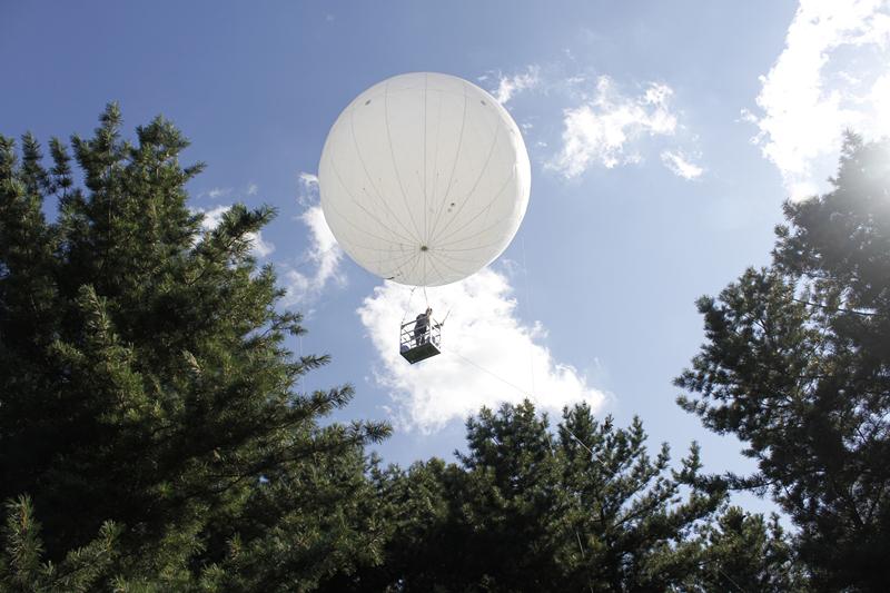 美国的摇钱树，收集到这种昂贵的树脂，就能轻松月入百万