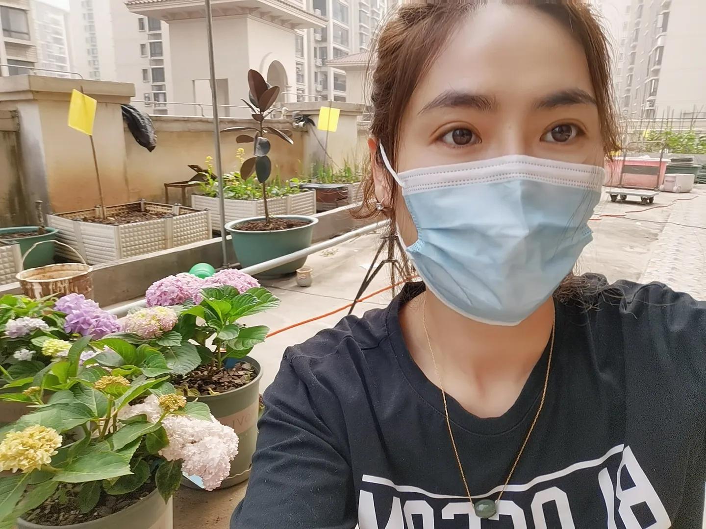 燕子的梦想简介,燕子的人生目标