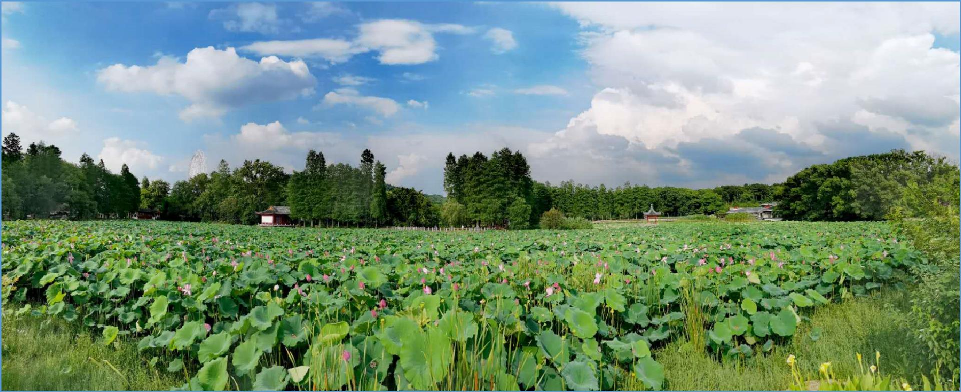 华为手机拍照夜间模式怎么设置,华为p40拍照广角模式怎么调