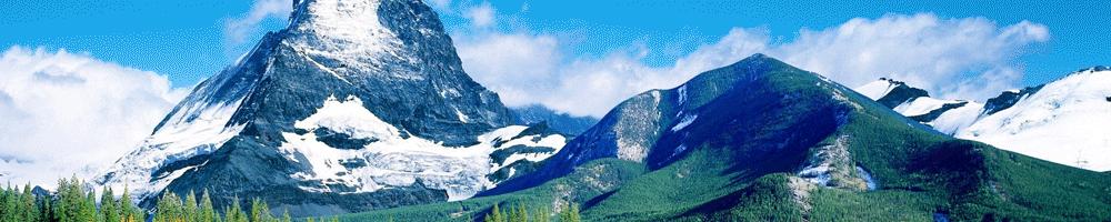 想支持国货哪些是国货,想支持国货怎么办