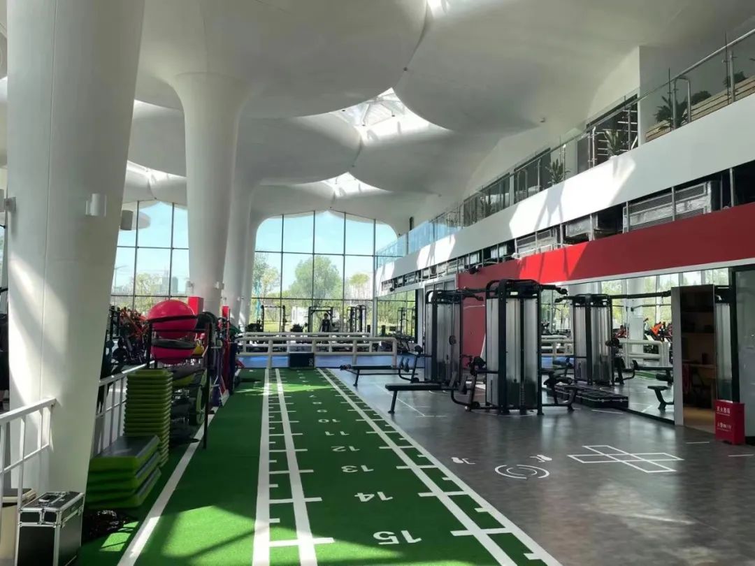 杭州临平粉黛乱子草花海地址,杭州临平30余亩粉黛花海梦幻上线