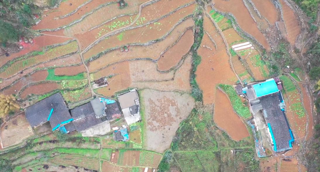 重庆天坑下的5户人家,重庆天坑底部住着5户人家