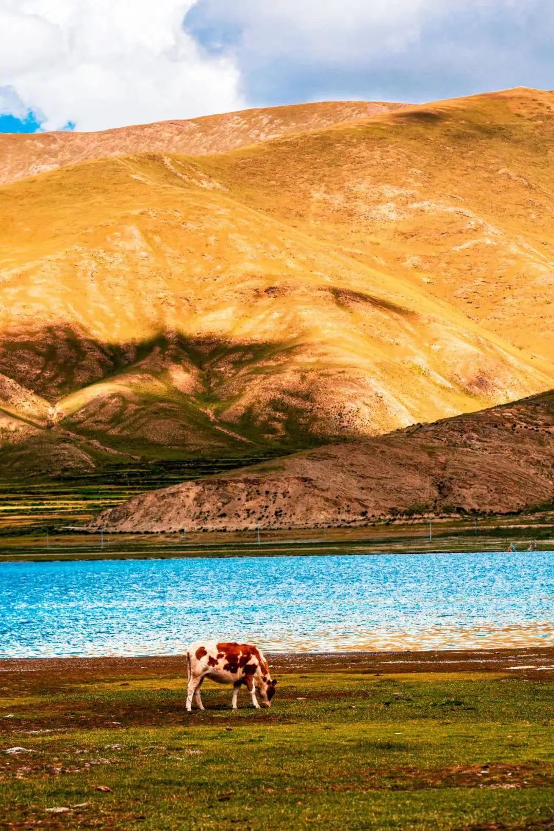 最美西藏十大景点,藏北旅游景点推荐