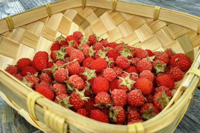 杭州出发2h,睡进千岛湖畔6家美宿，避开人群赏湖景山色丨南方民宿