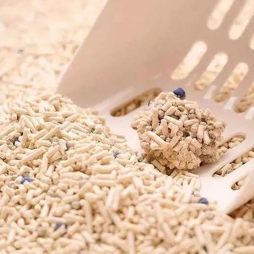 新手铲屎官该如何挑选狗粮呢,新手铲屎官如何挑选猫咪