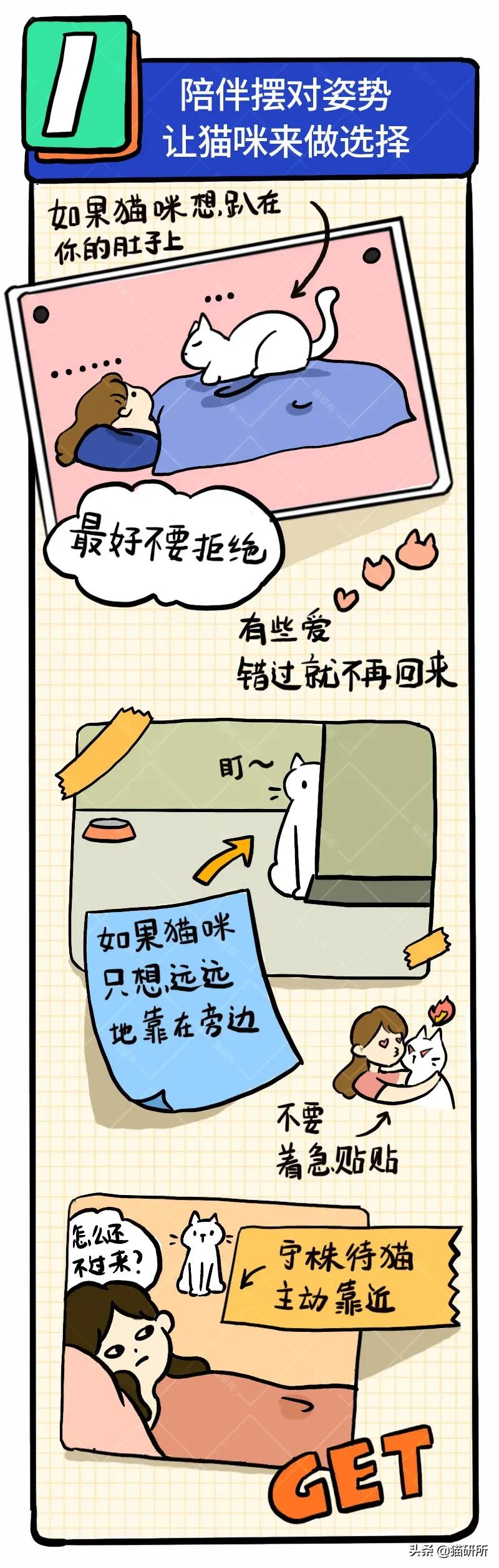 6个哄猫咪开心的小技巧，包教包会