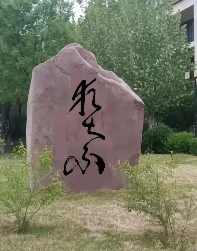 在头条创作的第四天,在头条创作的第19天