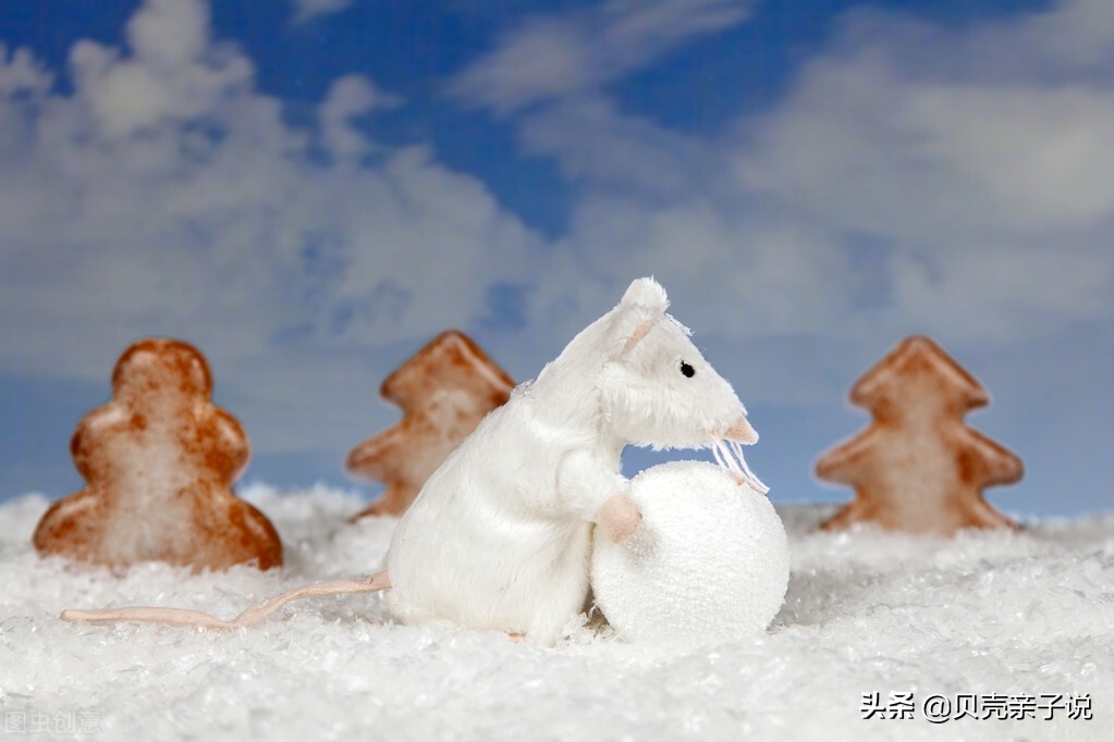 「睡前故事—暖萌动物系列」小熊的白水晶