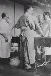 门格勒双胞胎,门格勒双胞胎实验