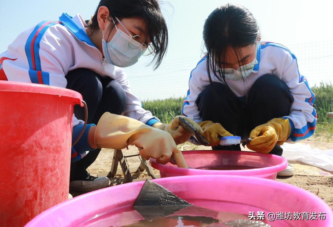 最新新闻周播报,新闻周播报完整版