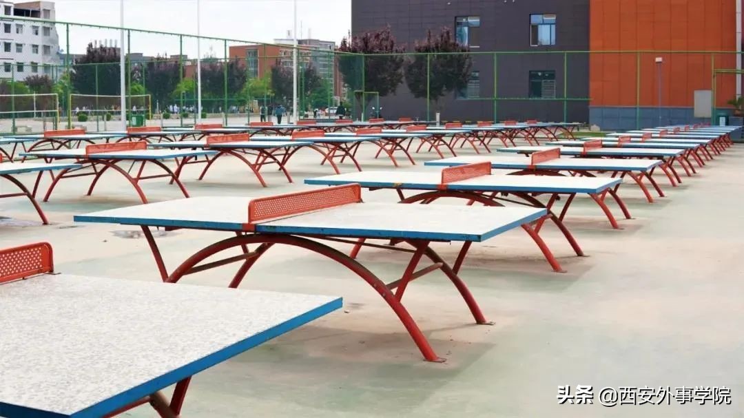 西安外事学院法语系老师,西安外事学院法语系