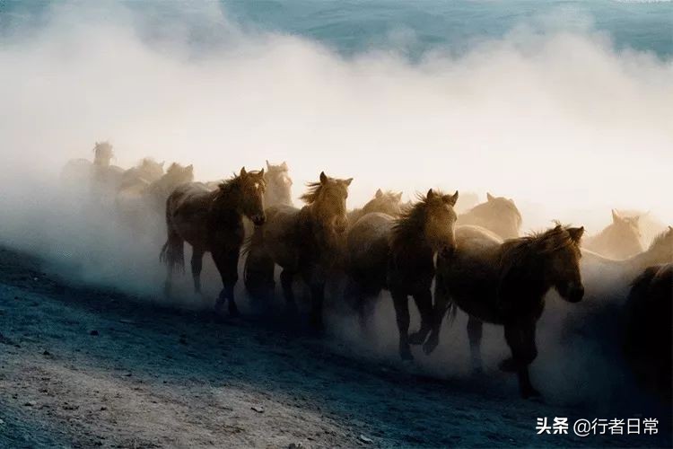 河西走廊就是甘肃吗,这就是甘肃文章