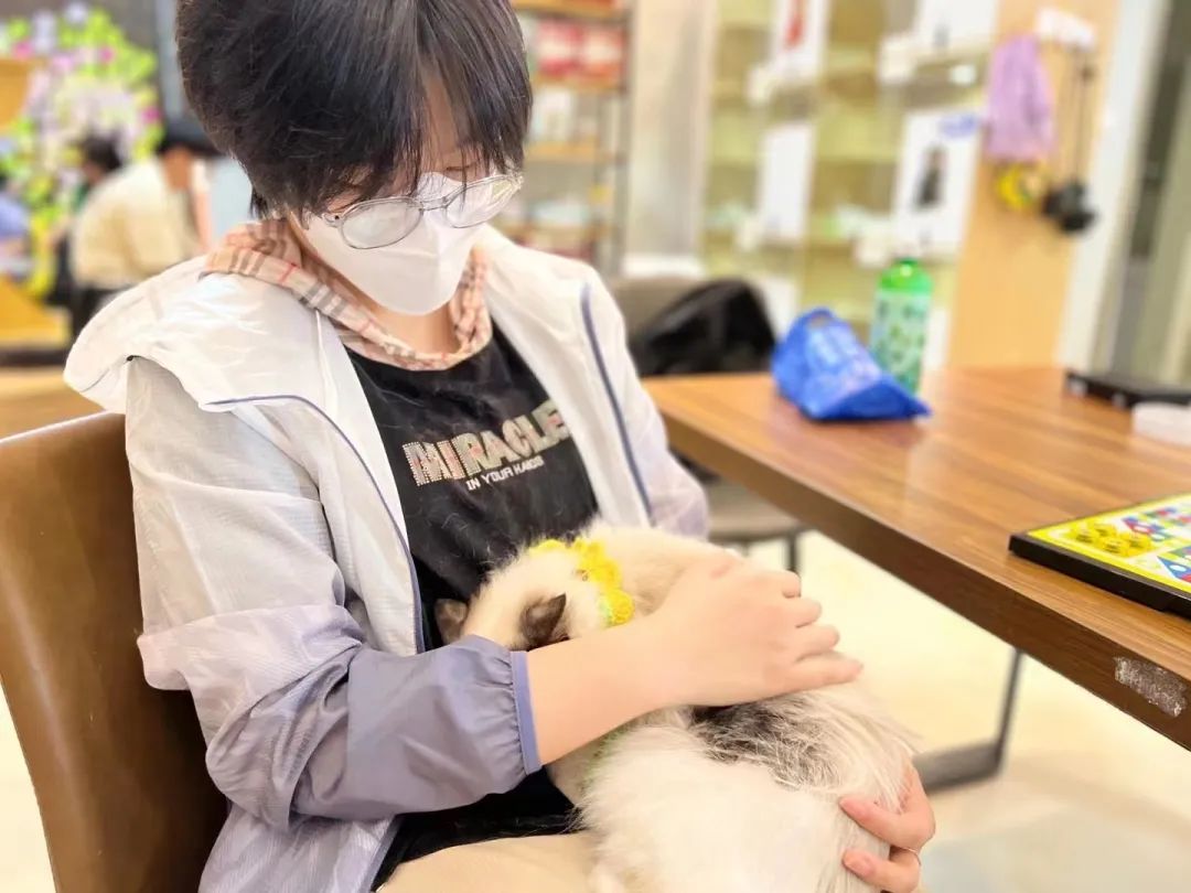 【深度访谈】关于枫学雅思,学过的人这样说