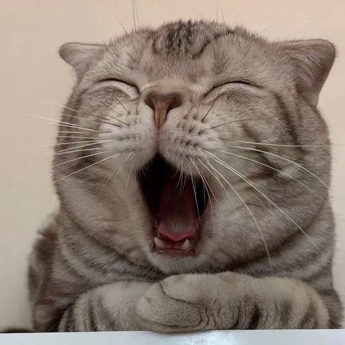 github上有没有比较难的前端项目,github中可以让前端小白练手的项目