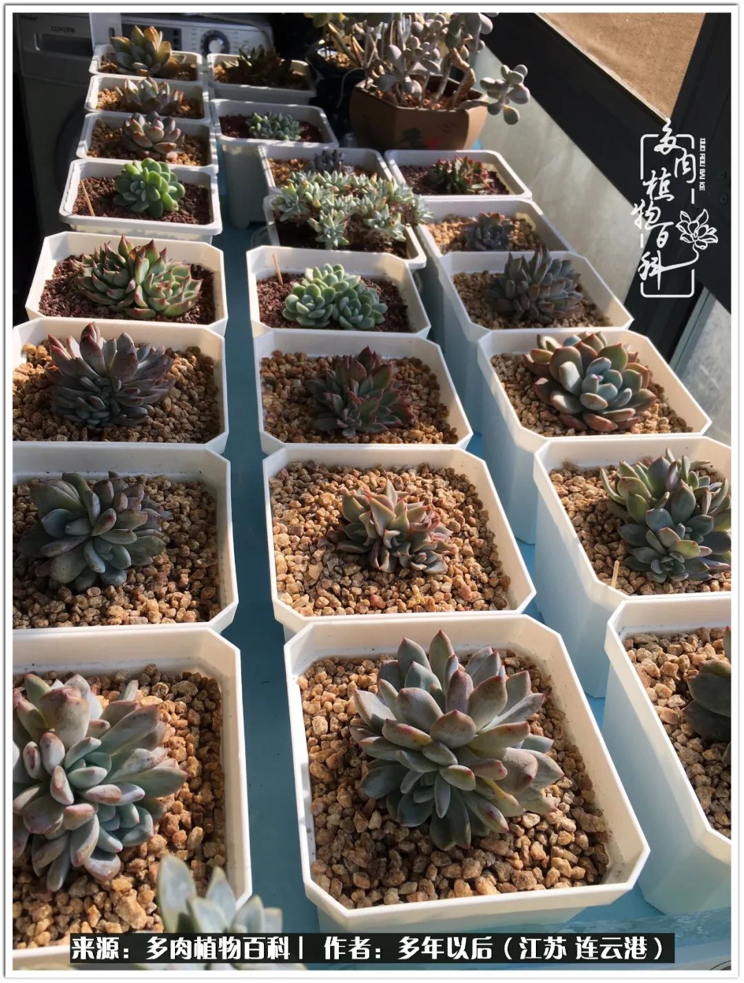 我若不弃，愿你不负我所期