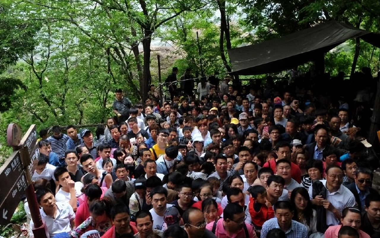 五一假期有多苦,五一小长假应该出去走走吗