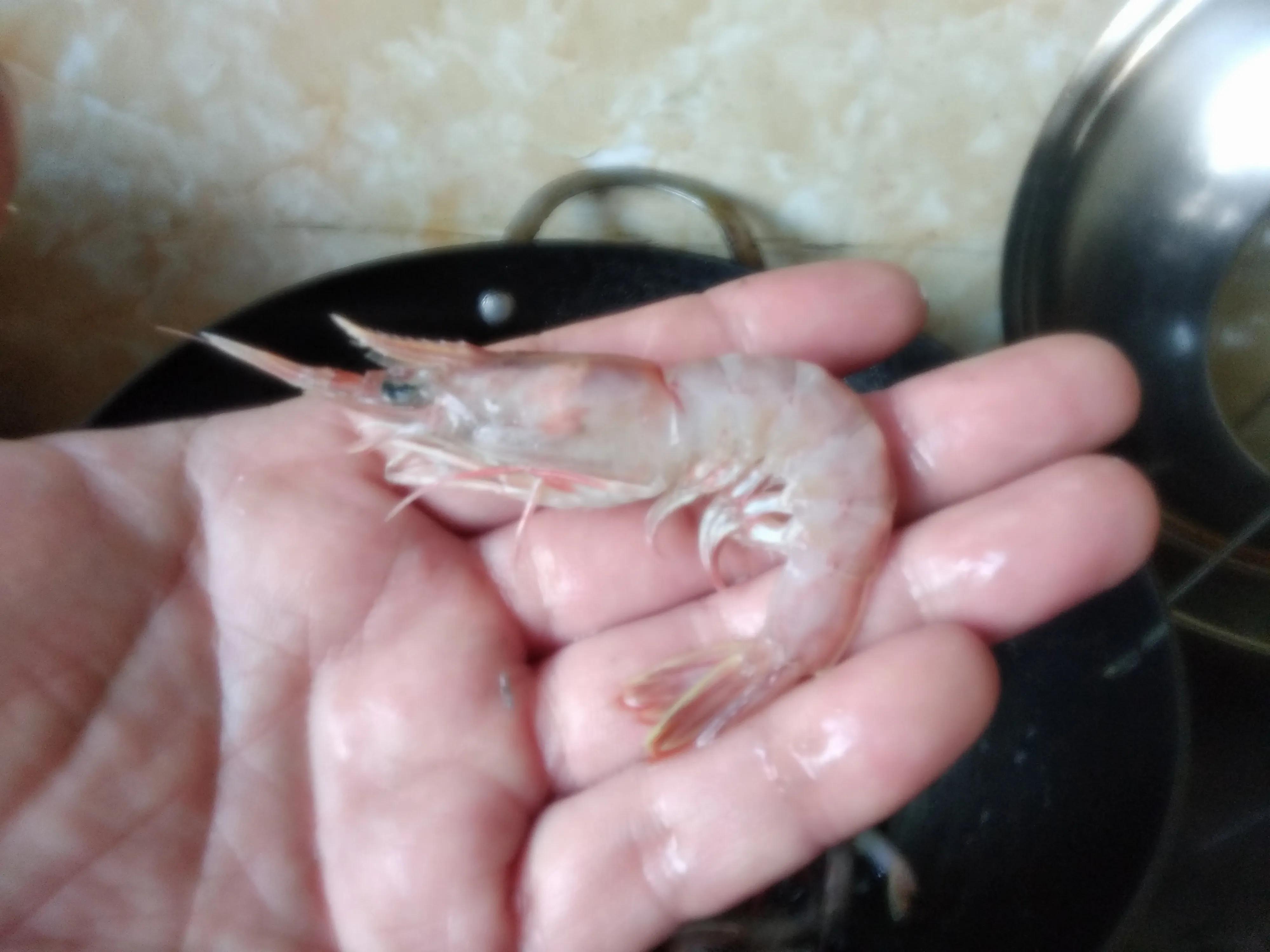 海虾哪个品种经济实惠,海虾的价格什么时候最便宜