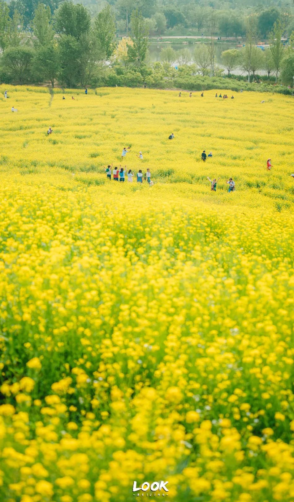 北京居庸关花海栈道,北京四季花海景区