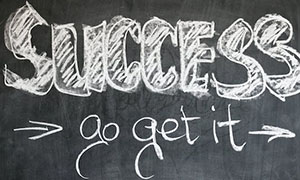 鐑樼剻鍏冪,鍏冪椋熷搧鐨勪紒涓氫环鍊艰