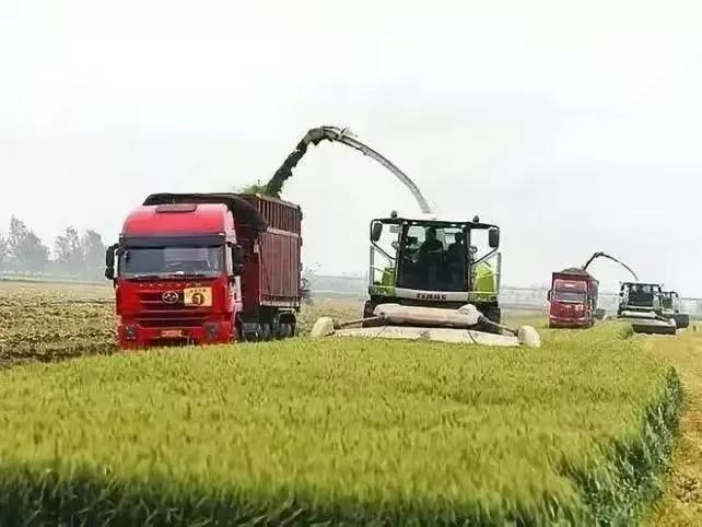 农村整治五类人将面临清查,乡镇能出台经营禁止令吗