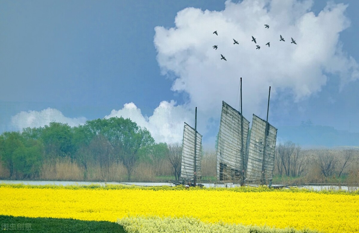 出租车营运证为什么会跌价,出租车营运证最新消息