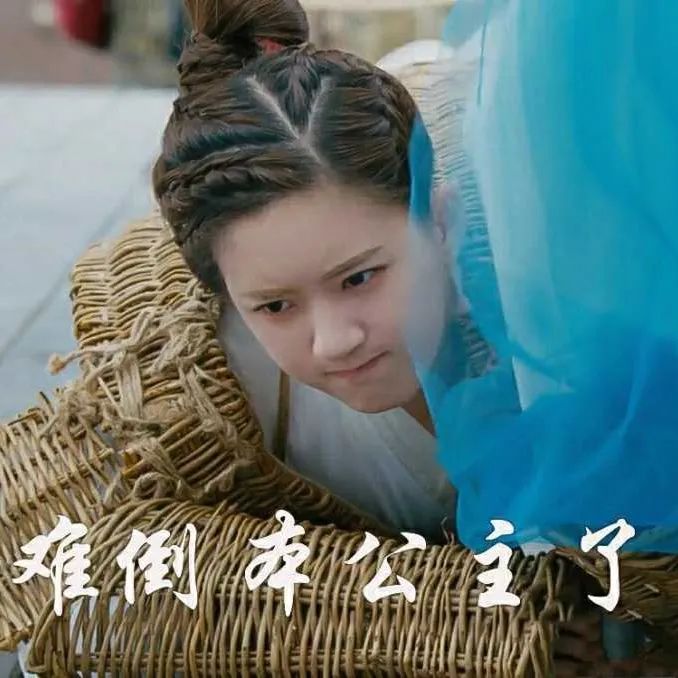 赵露思表情包头像,下载赵露思爱豆头像