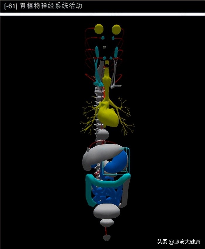 如何打造功能医学中心体系？这家体检设备公司有解决方案