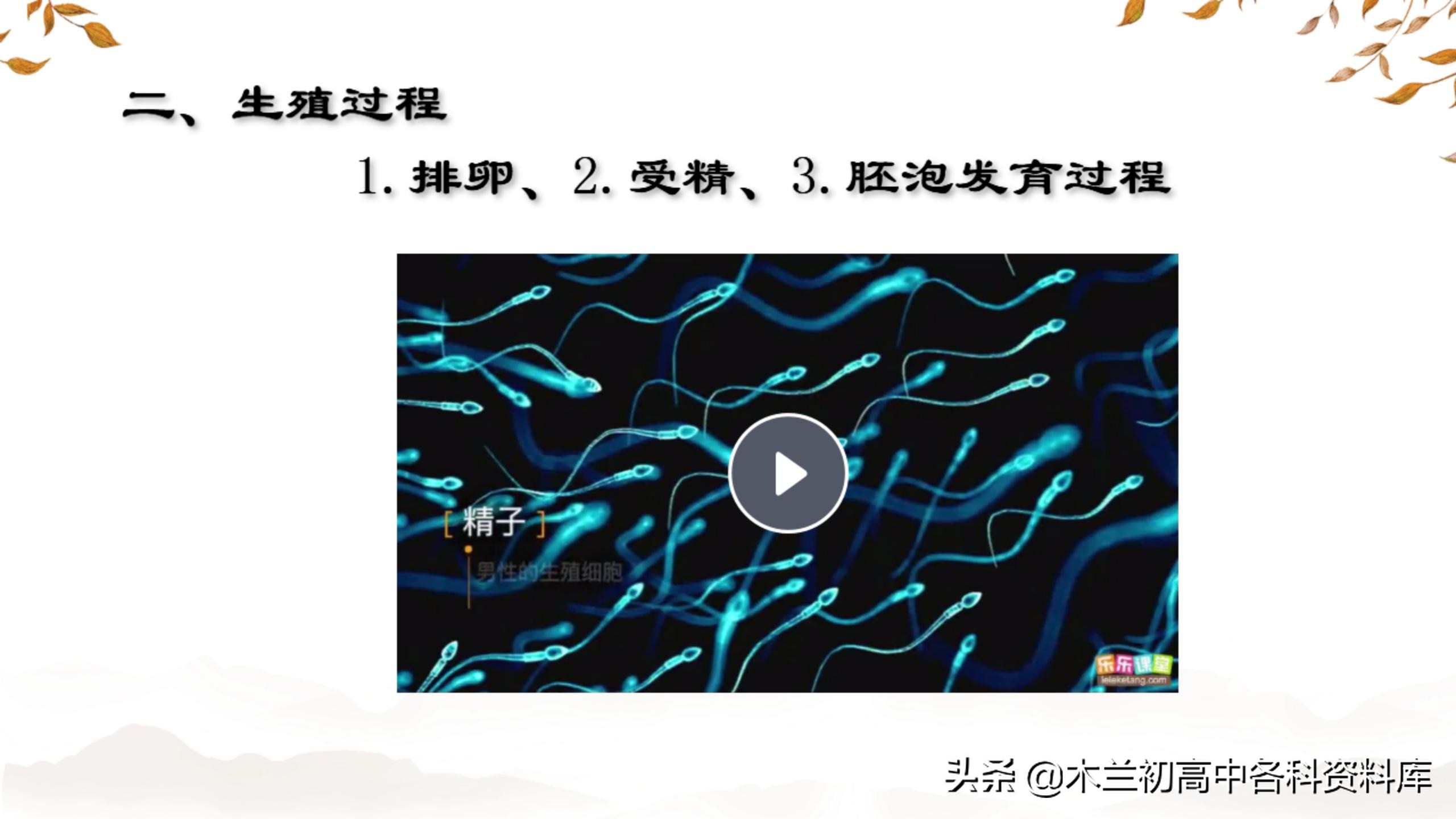 人教版七年级生物第二单元知识点,七年级下册生物第二节人的繁殖