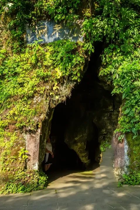 不上峨眉山自驾一日游最佳攻略,峨眉山全程不用步行攻略