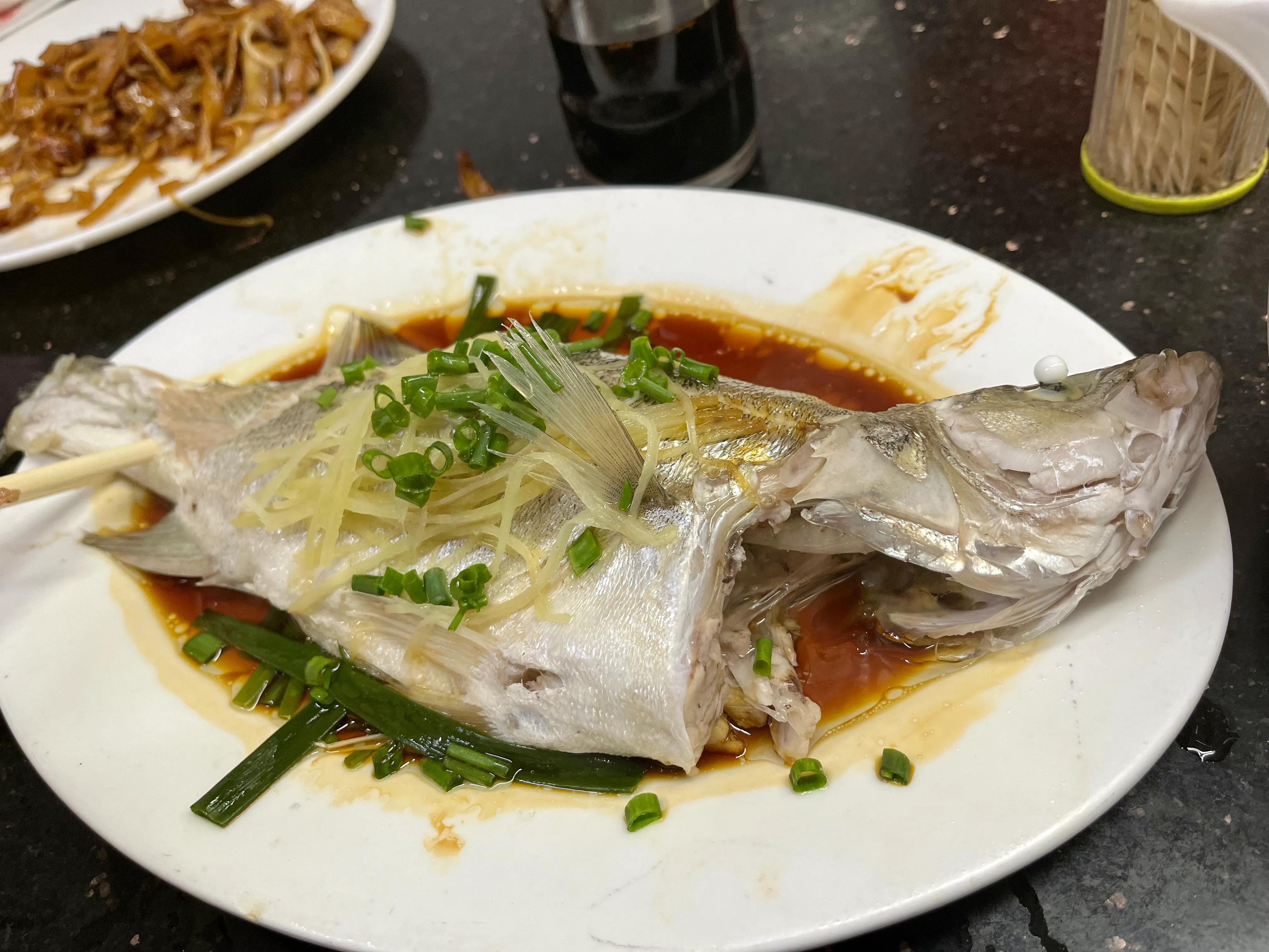 澳门旅游攻略不购物,澳门一日游攻略必备