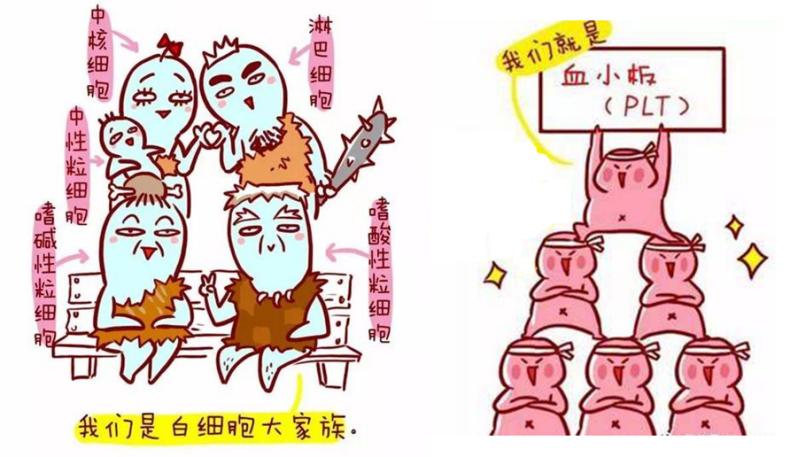 乙肝治疗中医生最希望的结果,乙肝完全治愈路上的两大关卡