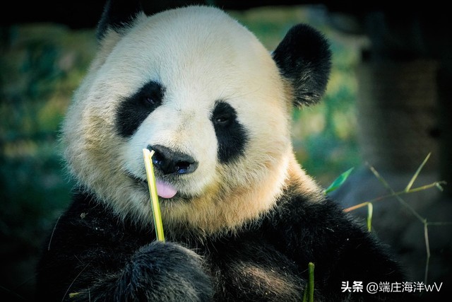 去上海十个必打卡地，每一个都美不胜收