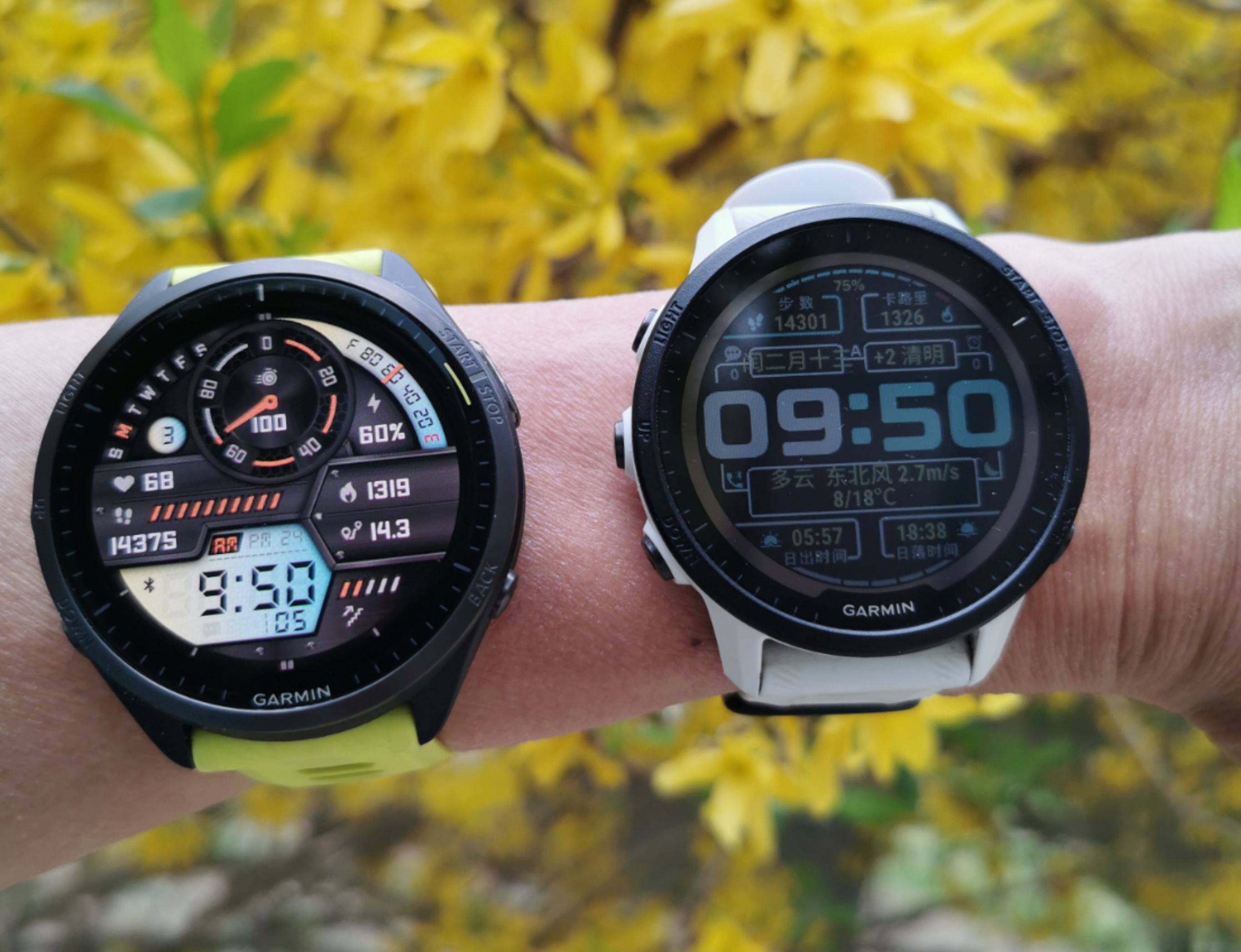 佳明265对比佳明955,佳明955太阳版对比965