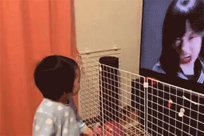 桥本环奈和福原遥两人长得好像,日本男性梦中情人