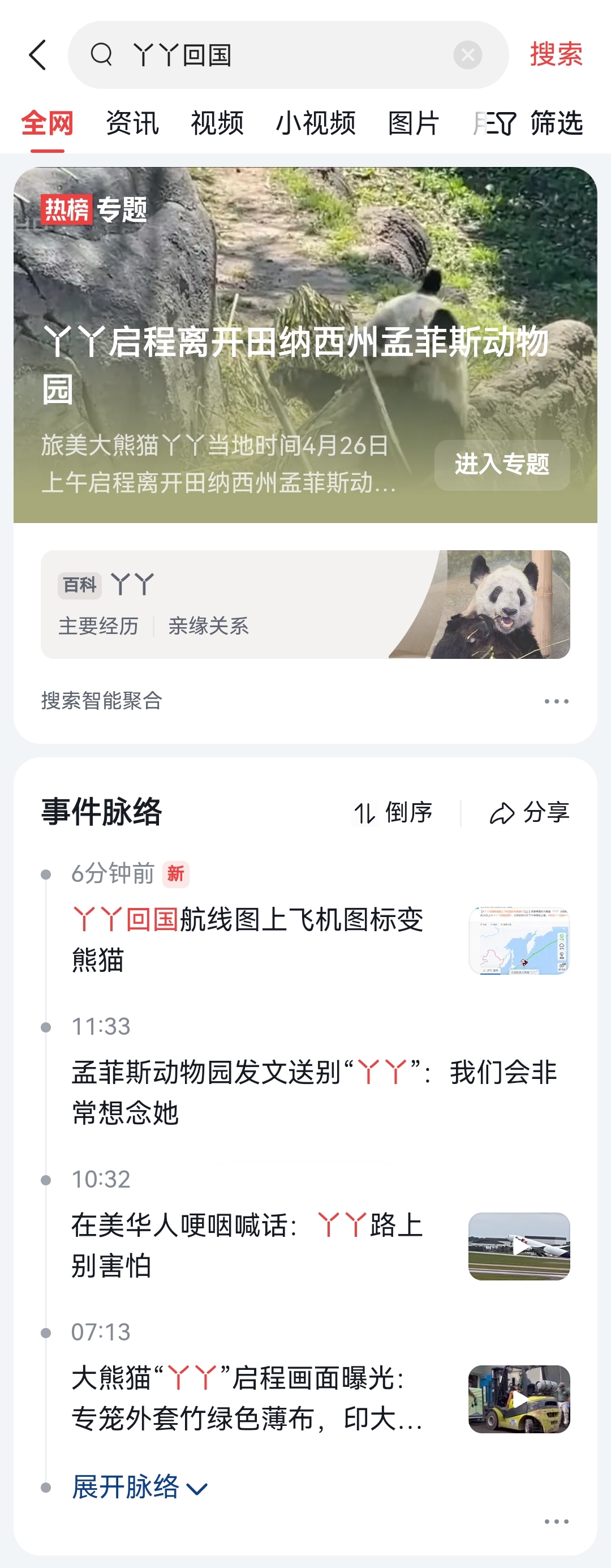 熊猫界顶流盘点,熊猫界十大顶流