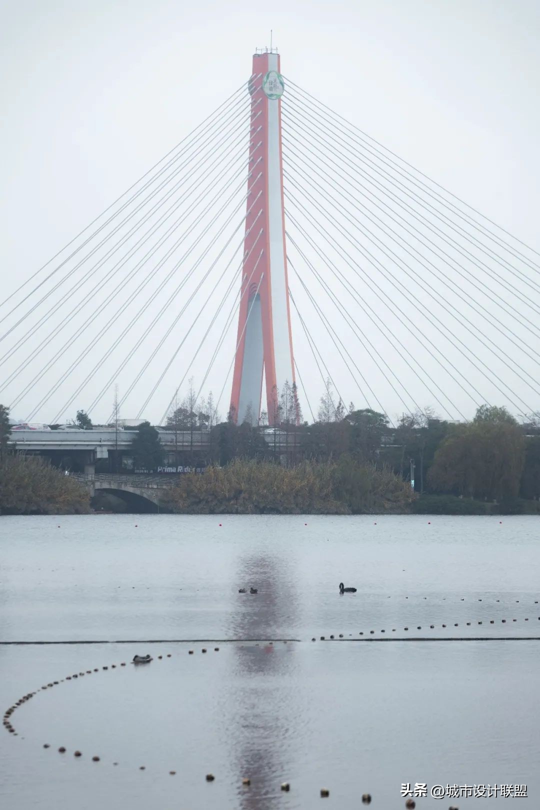 成都值得一游的公园,夏季成都宝藏公园