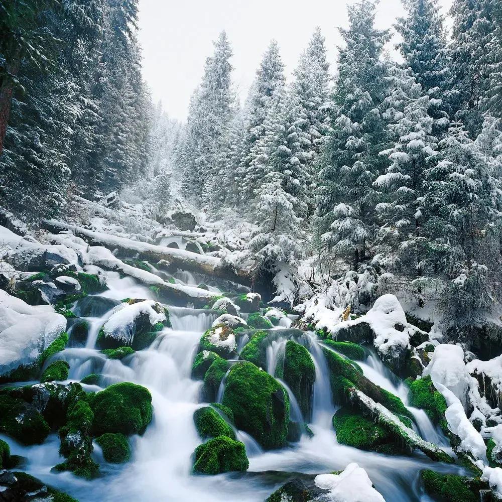 《黄河》中篇小说:彩旦六爷