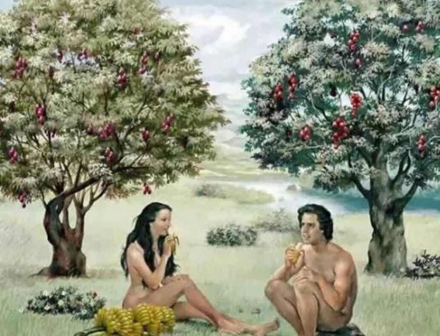 欧洲夫妇10个孩子,欧洲荒诞婚姻