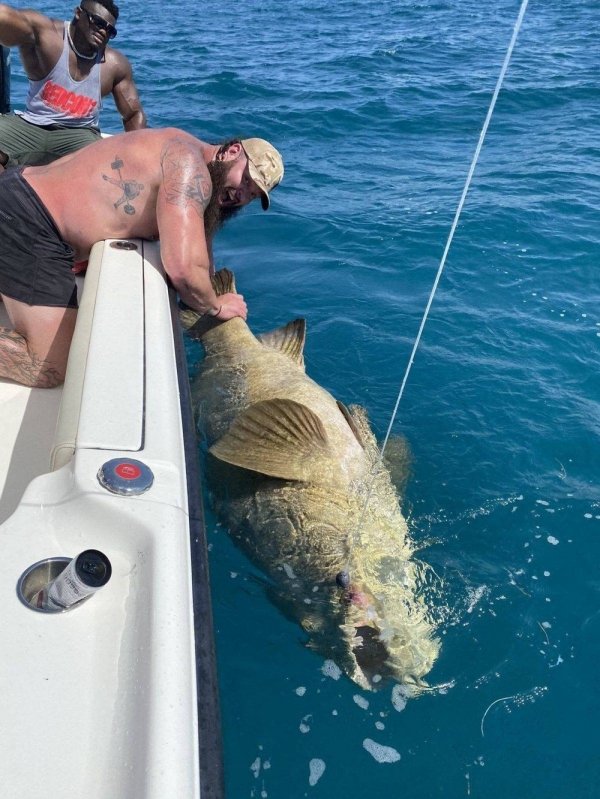 50个稀世珍宝,50个罕见的巨物让人惊叹