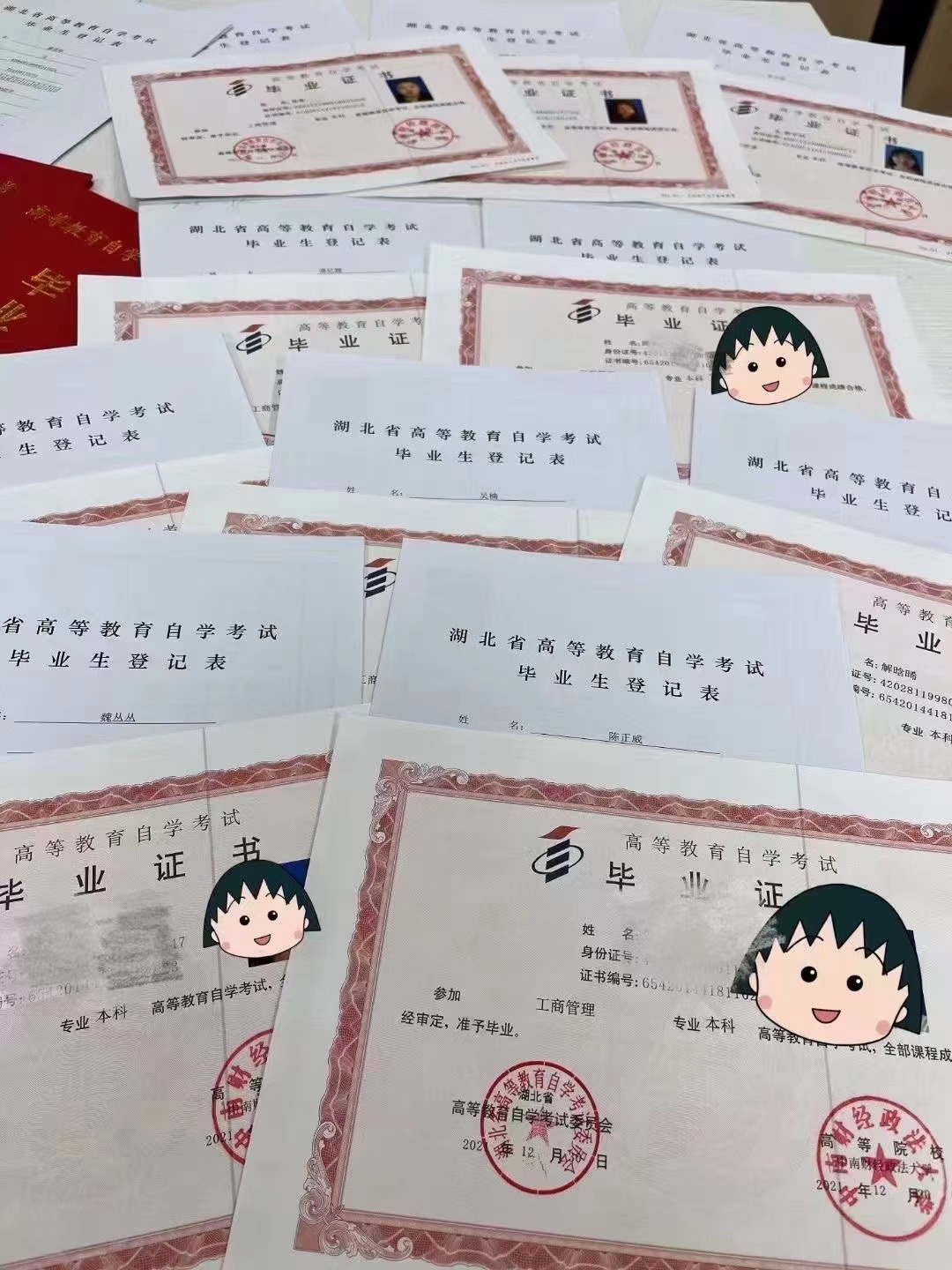 暨南大学法学自考考试科目,河北省自考法学专科科目