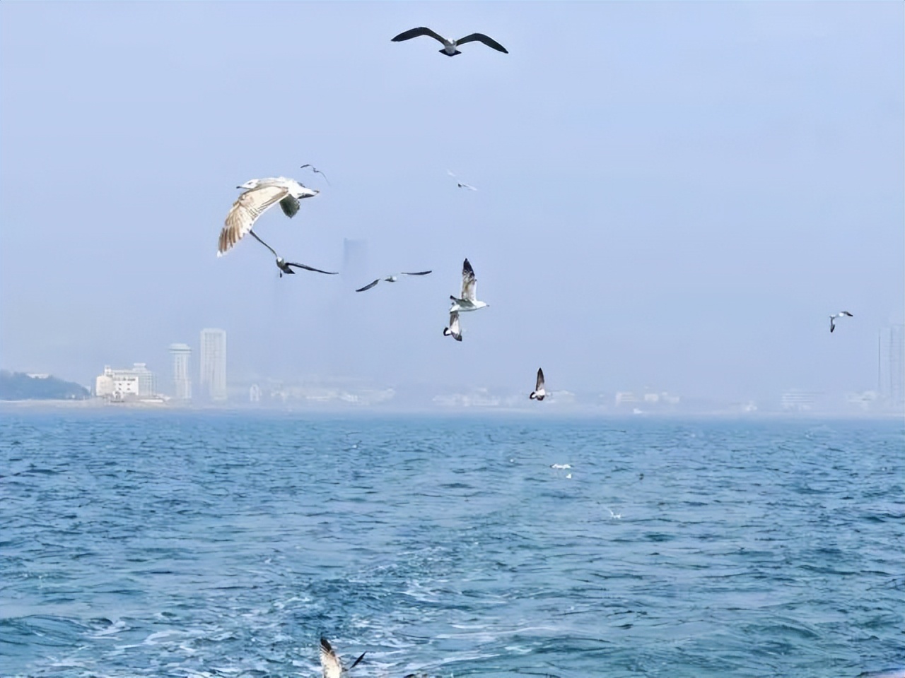 暑假国内亲子游必去十大胜地推荐,江苏暑假避暑亲子游