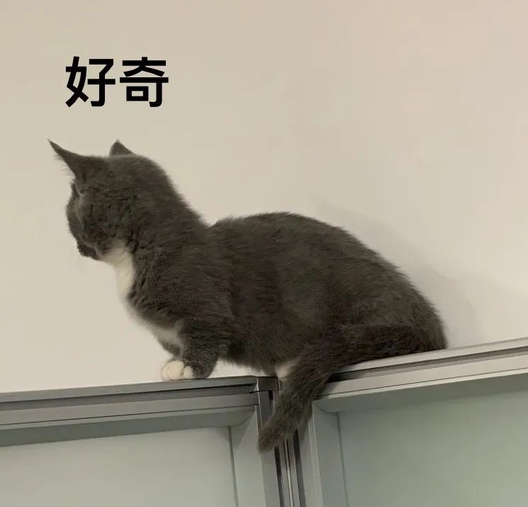 深圳医保停缴怎么恢复使用,深圳医保停缴后余额如何使用