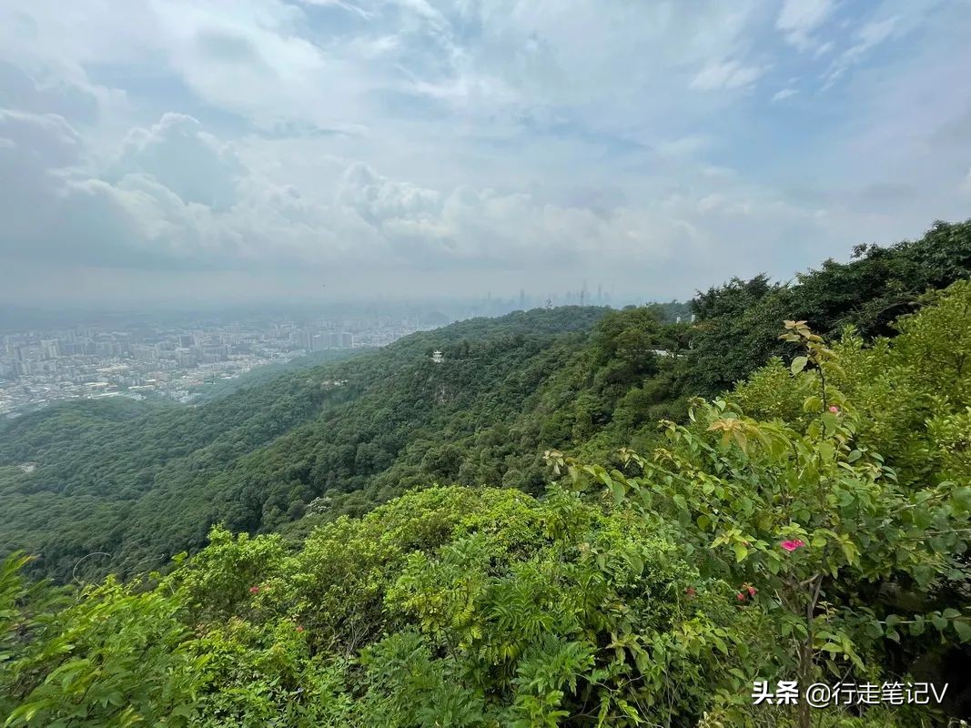 广州白云山民宿推荐,白云山景区里边的民宿