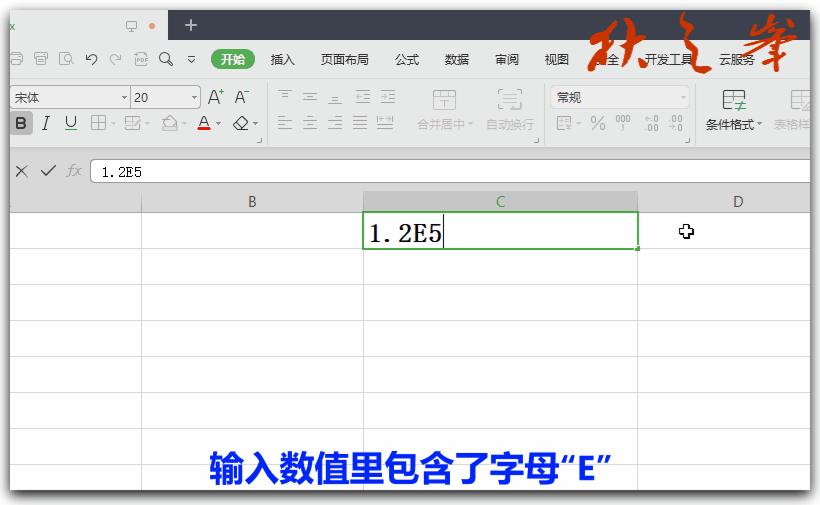 自学WPS表格12：数据输入与编辑（二）