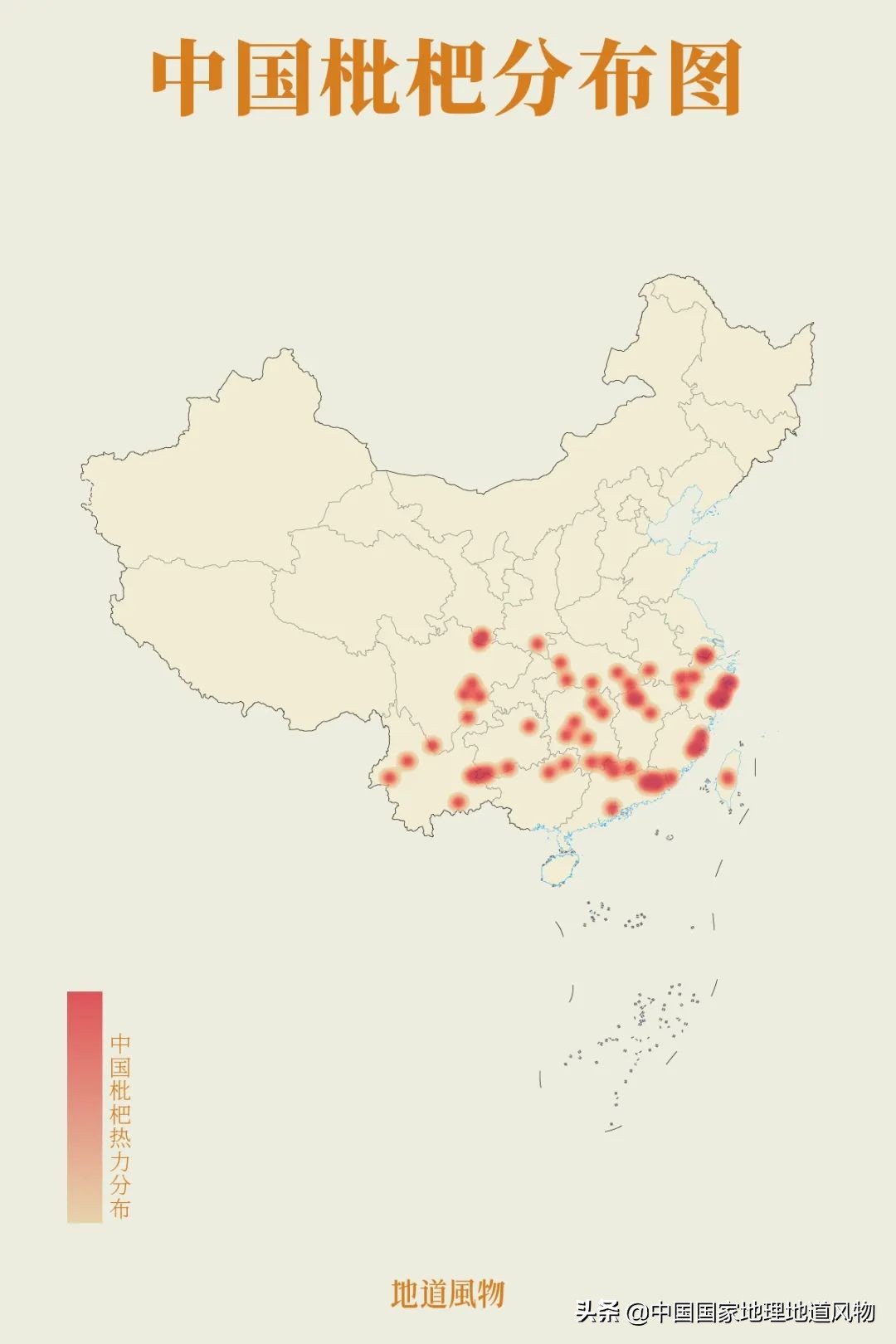 北方人认识枇杷吗,南方人有多爱嗦粉