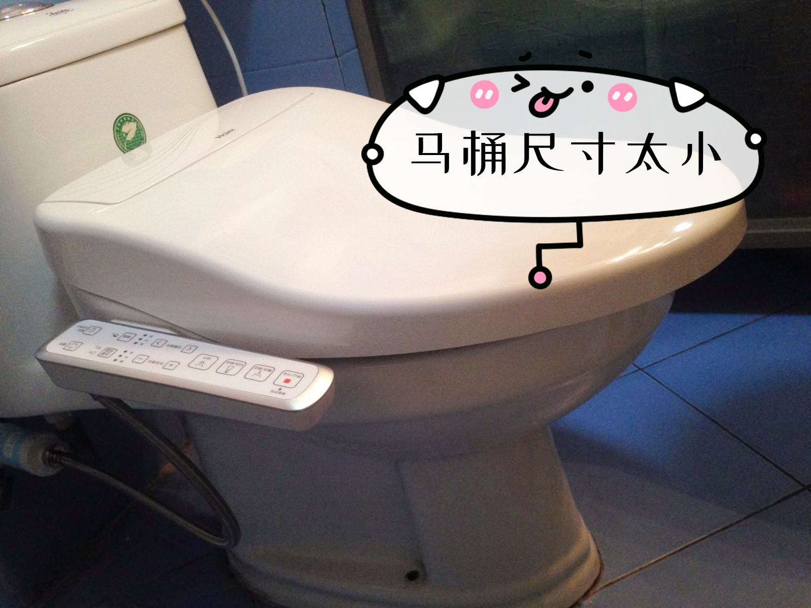 越来越多人开始买智能马桶盖，到底值不值得投入？内行人说句实话