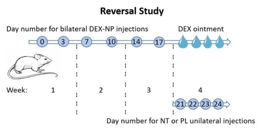 rho激酶抑制剂多少钱,rho激酶抑制剂是什么