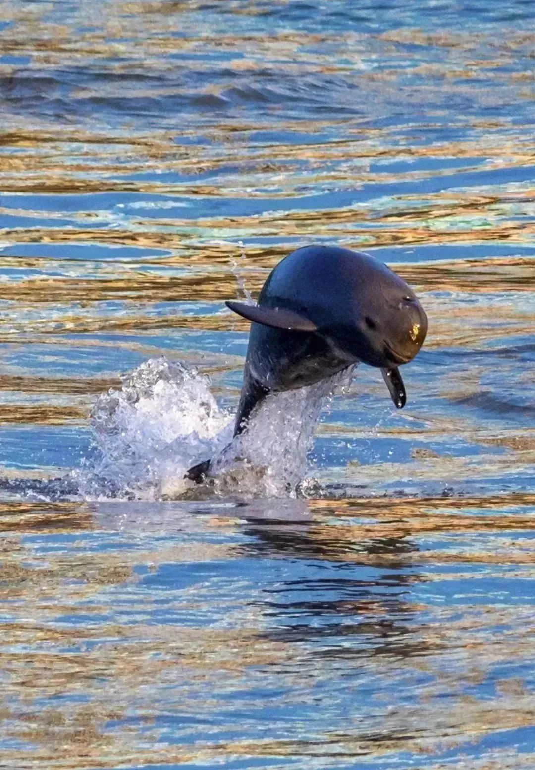宜昌一座来电的城市,一个电话唤醒的城市