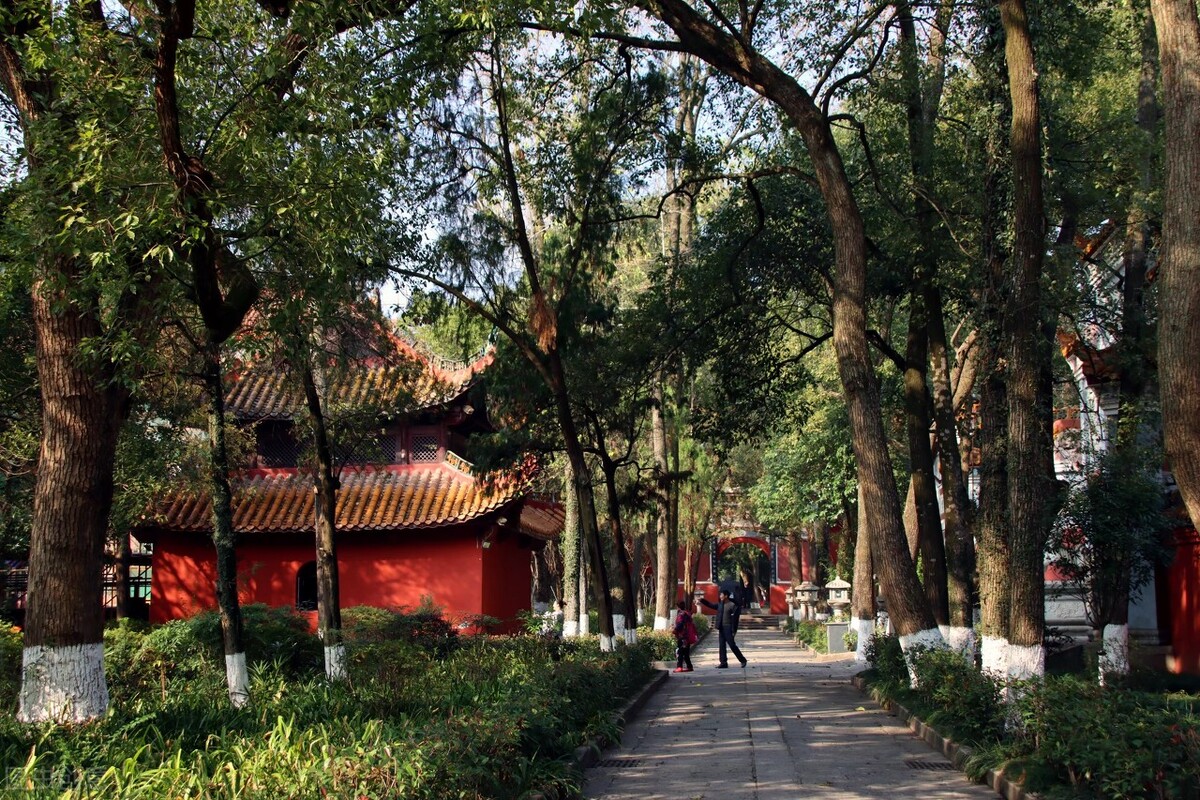 中国十大佛教名山排名图片,四大佛教名山哪个人气最大