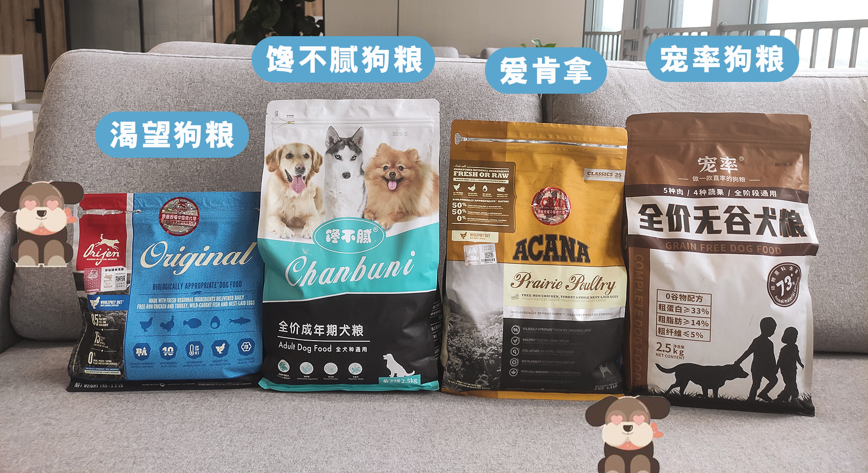 弃养率最高的8种狗,弃养率高的十种狗